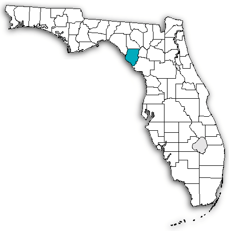 Dixie County on map
