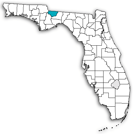 Gadsden County on map