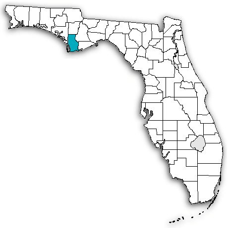 Gulf County on map