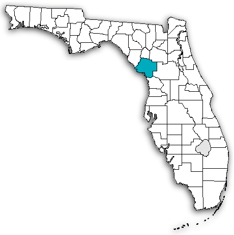 Levy County on map
