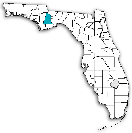 Liberty County on map