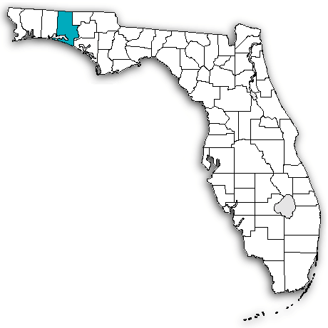 Walton County on map