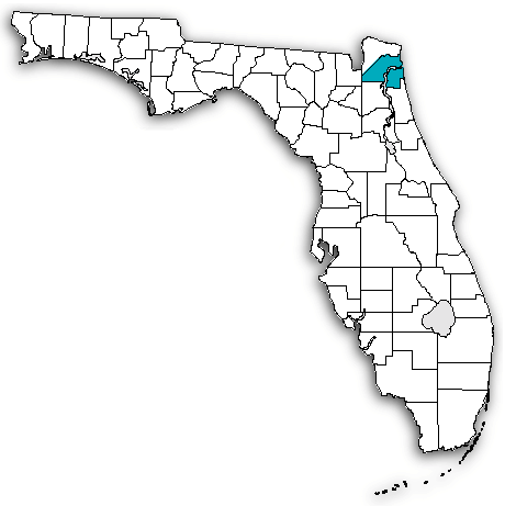 Duval County on map